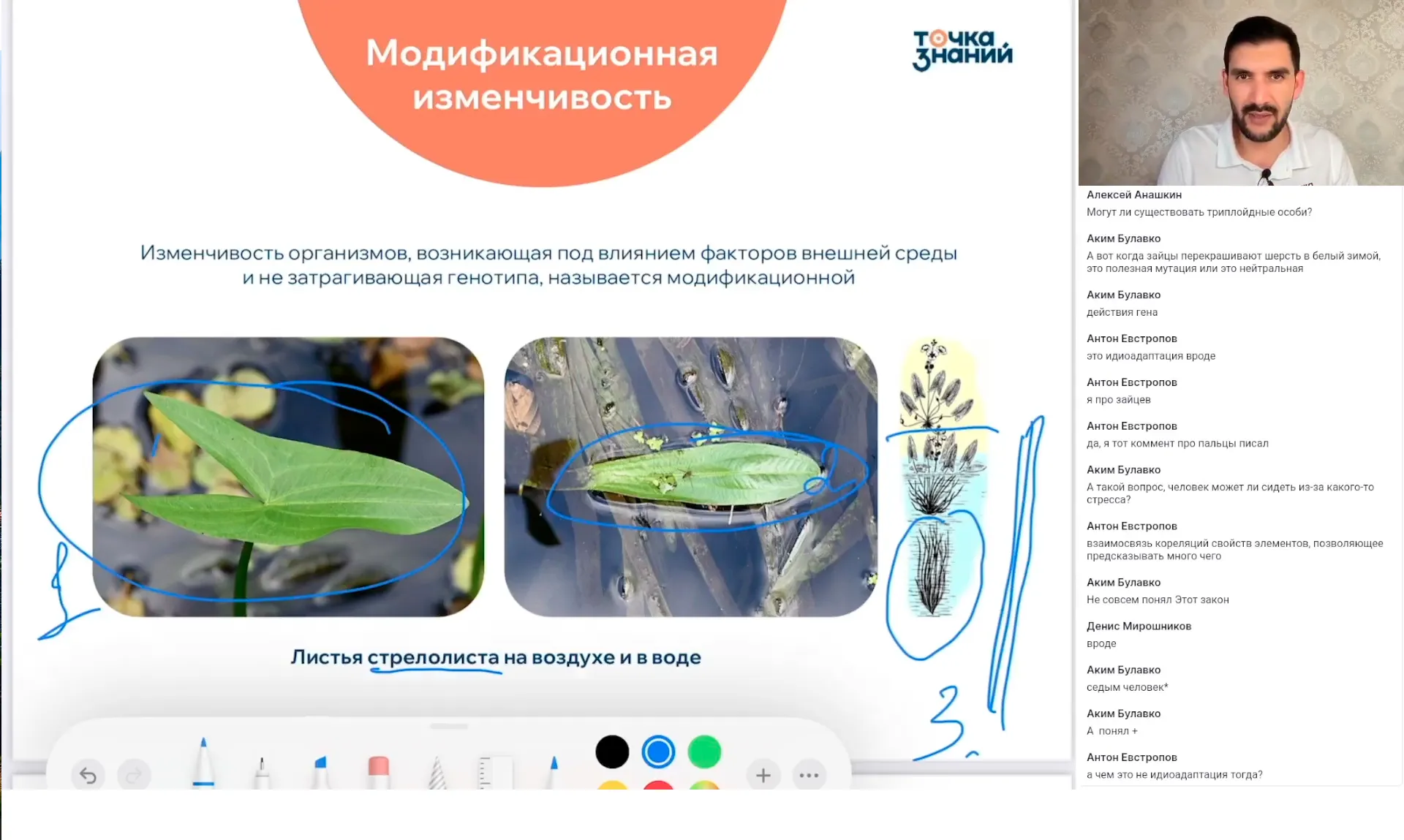 Изменчивость, её виды