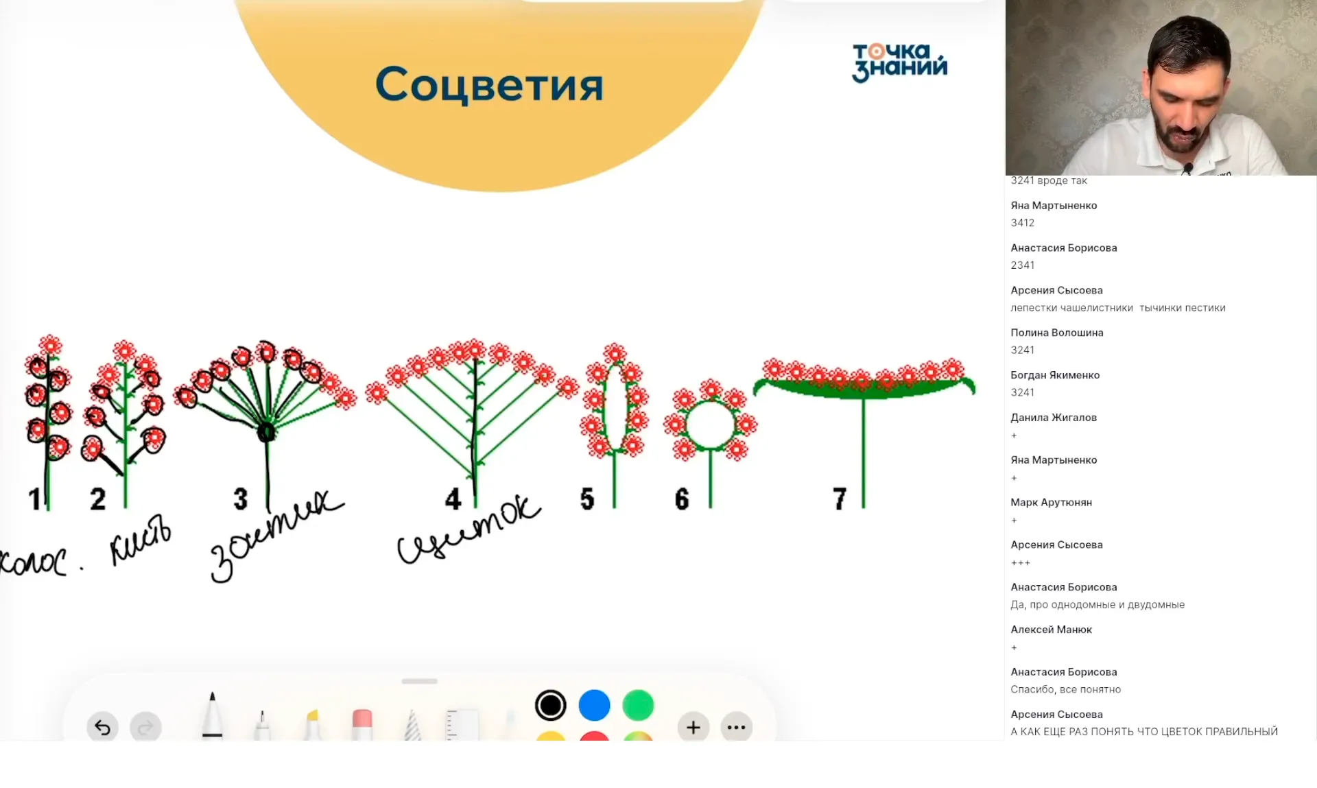 Цветок и плод: строение и функции
