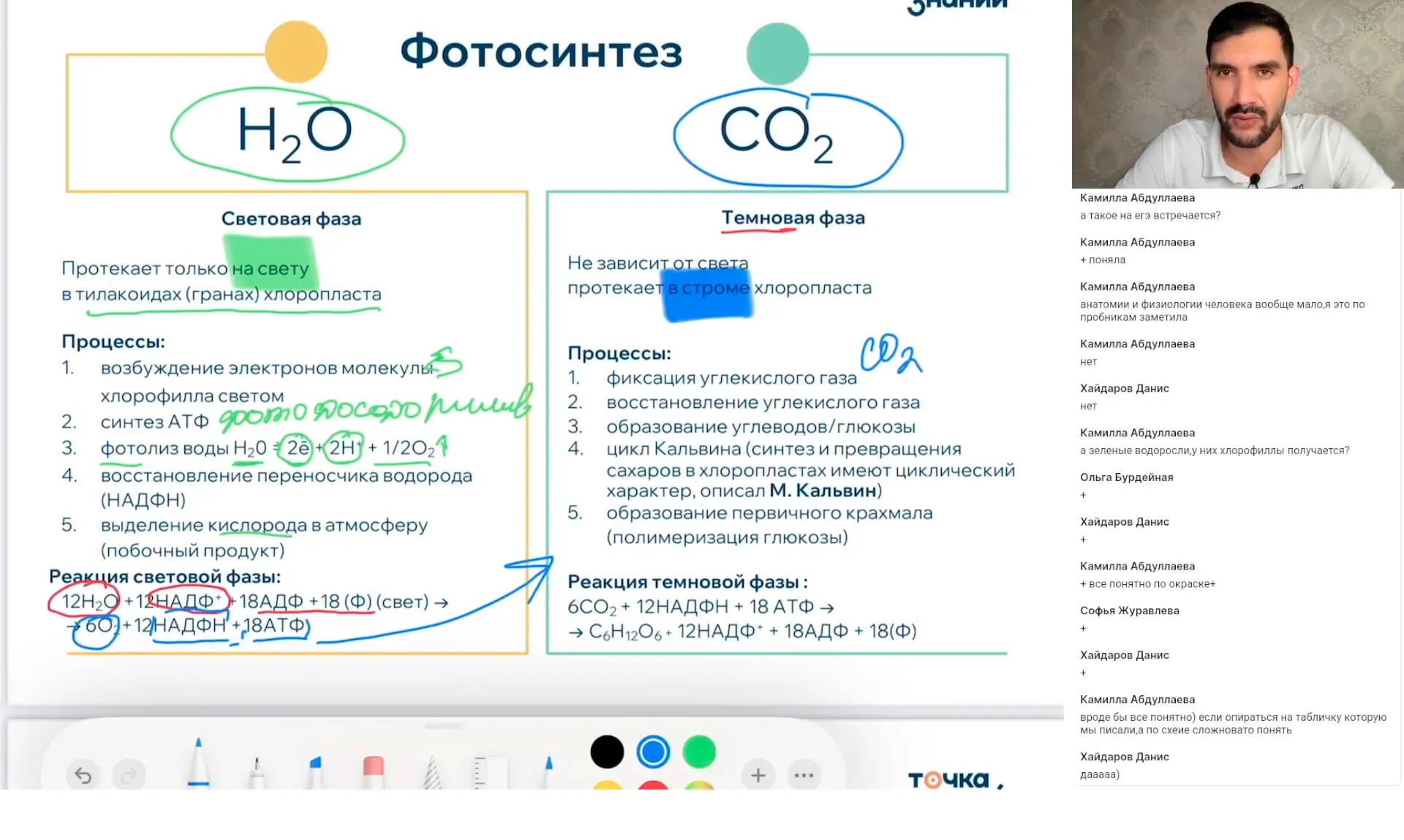 Фотосинтез. Хемосинтез.