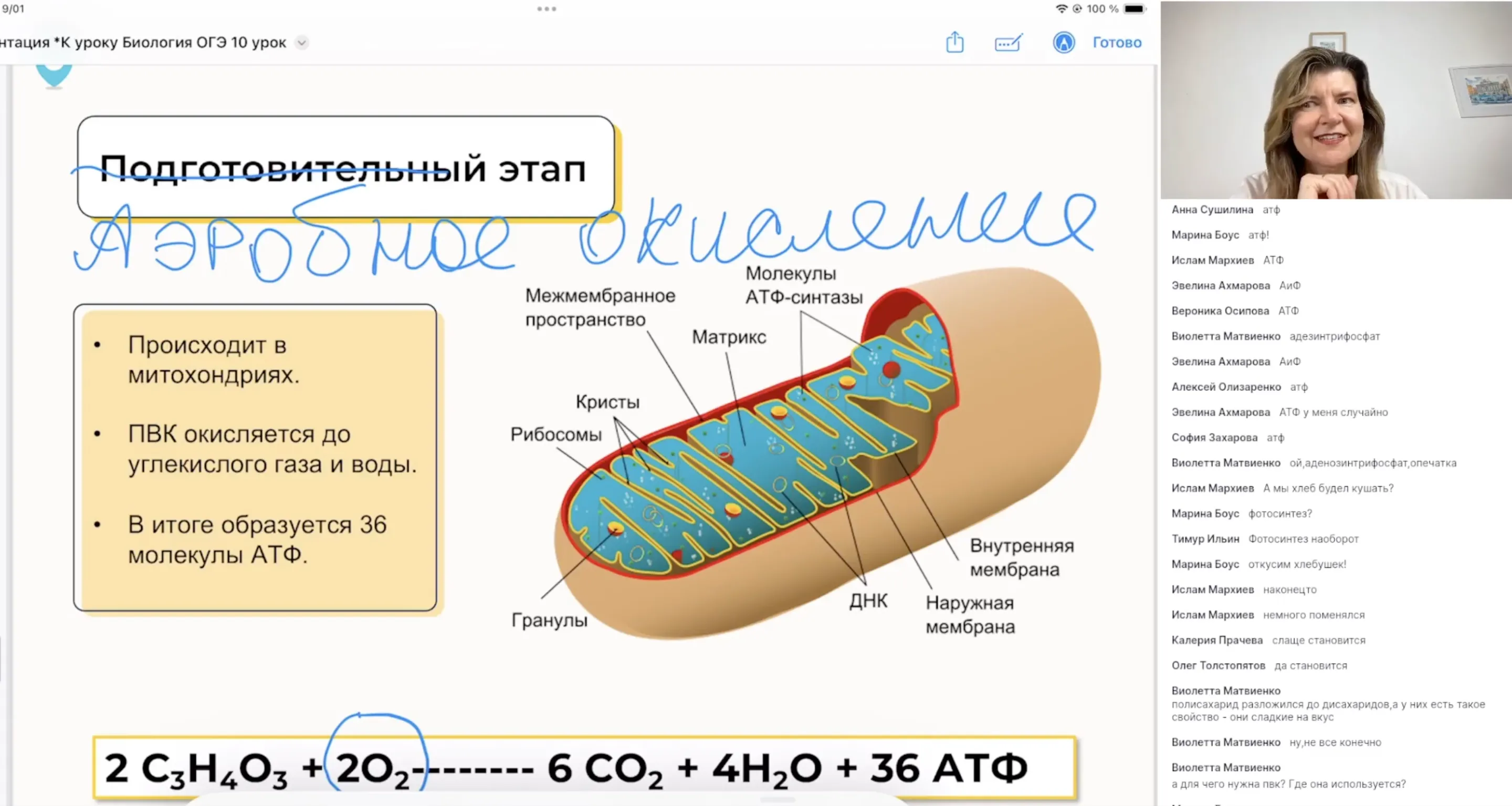 Энергообмен