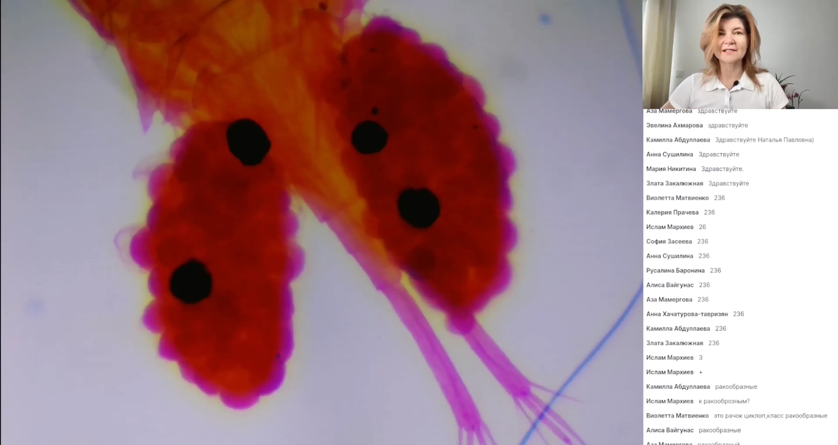 Насекомые. Многообразие насекомых