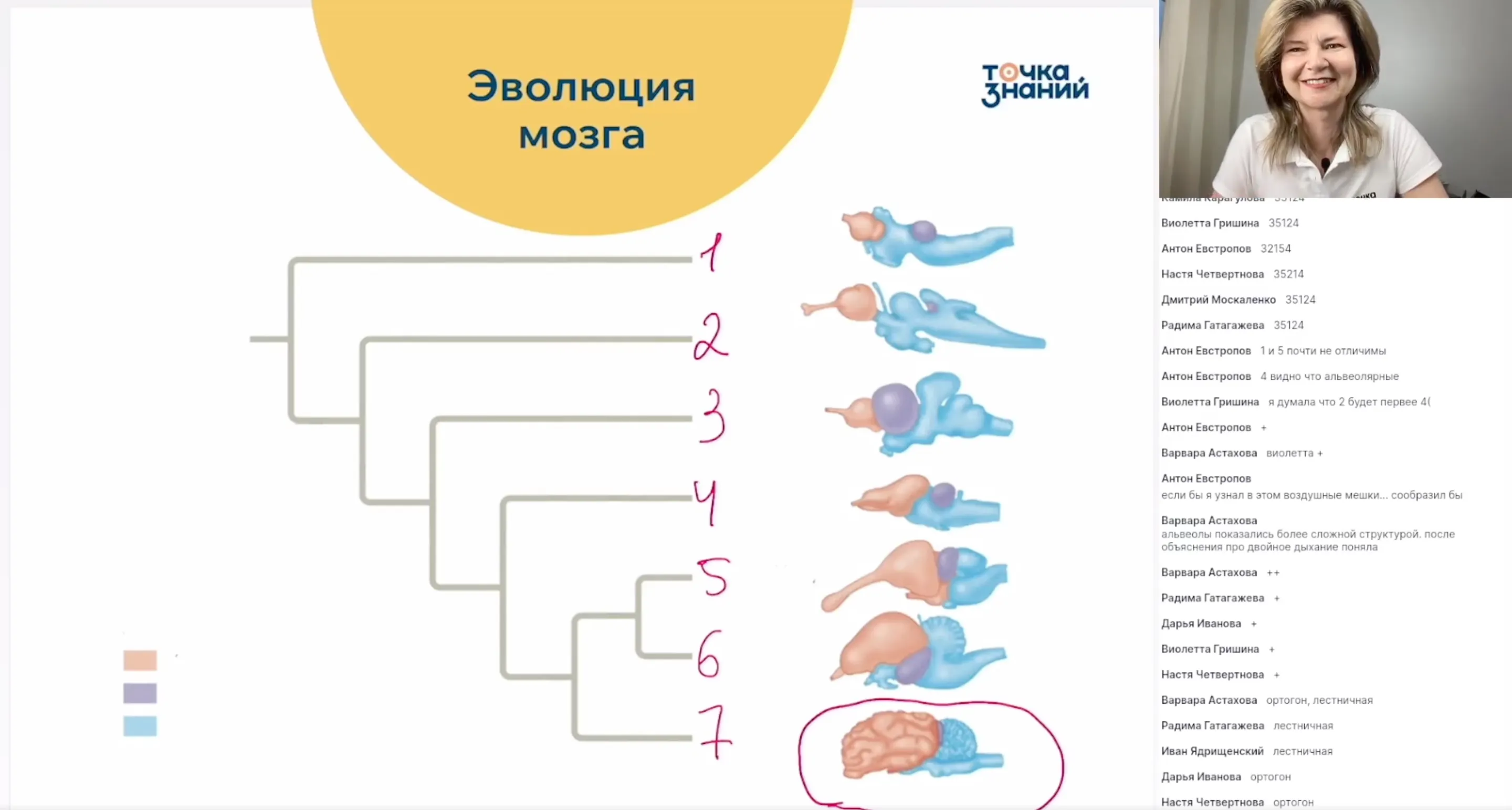 Изменение систем органов животных в эволюции. Обобщение знаний по разделу Зоология