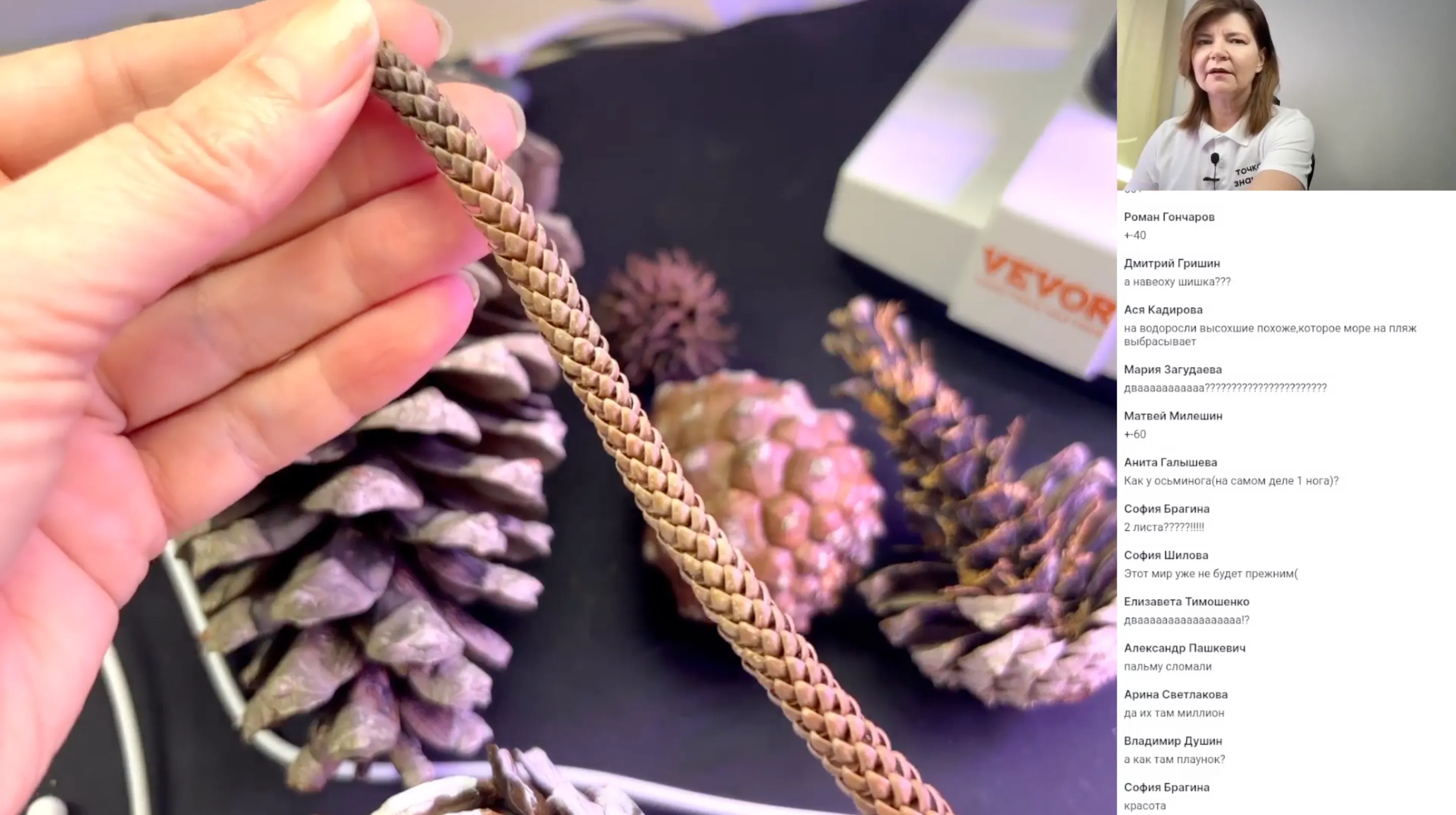 Многообразие и значение голосеменных